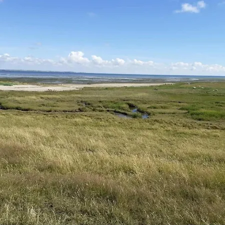 6 Person In Romo Tagholm